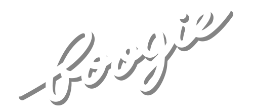 boogie-logo 1